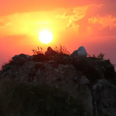 La Lisette * Étretat